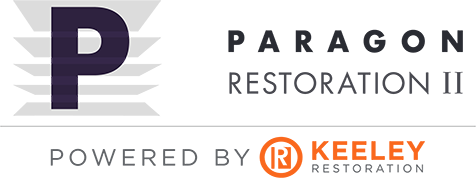 paragon 2 logo